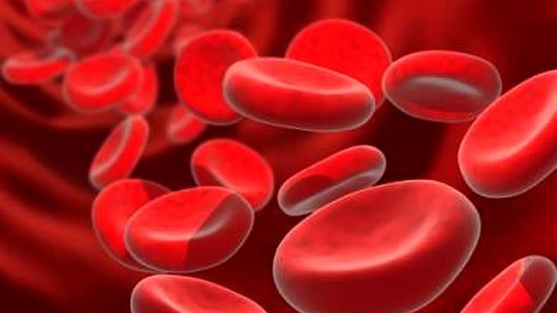 Неожиданное открытие: производство клеток крови можно контролировать