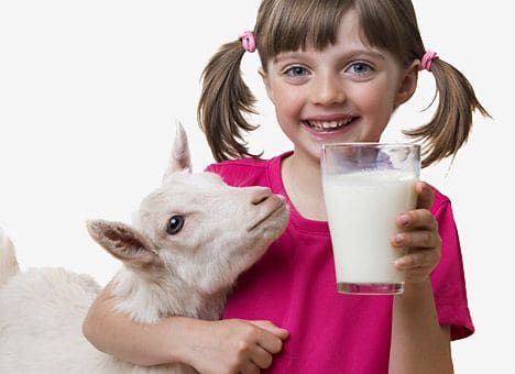 Польза козьего молока для детей