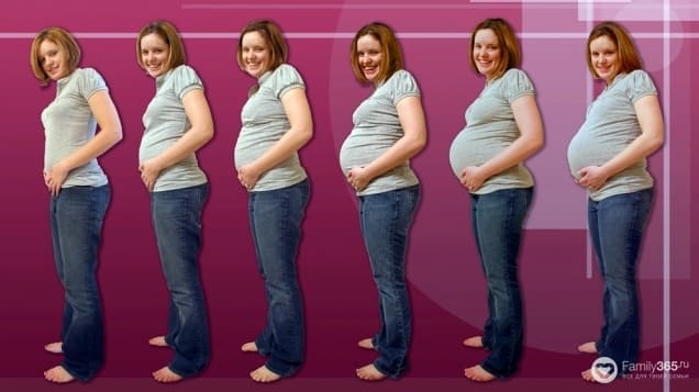 11 правил планирования беременности