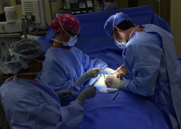 Трансплантация почки: здоровье без фокусов