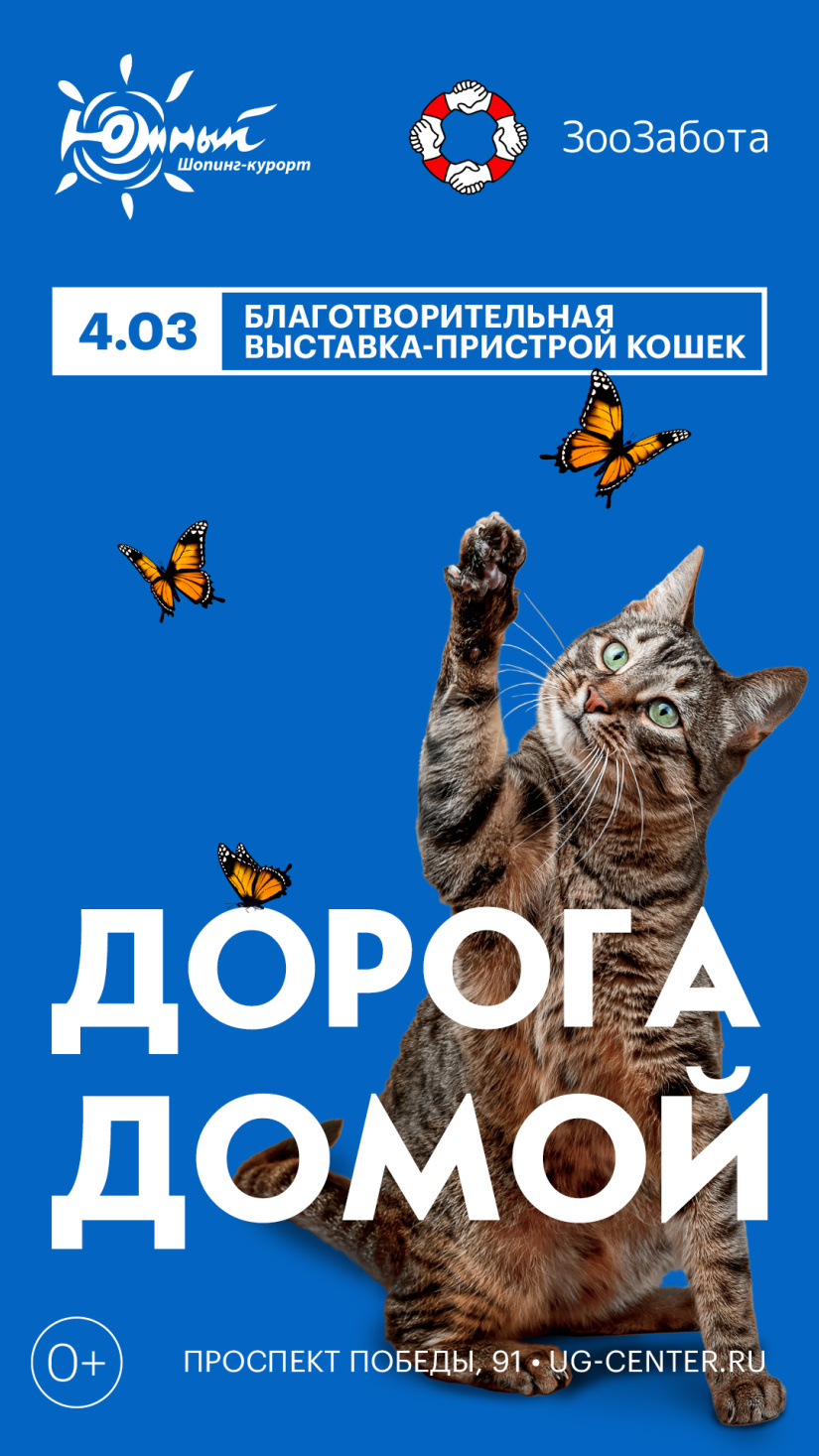 Благотворительная выставка-пристрой кошек «Дорога домой» в ТРЦ «Южный»