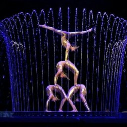 В Казанском цирке Грандиозное шоу «Цирк на воде «Остров сокровищ»