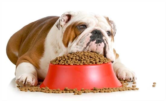 Как правильно кормить собак