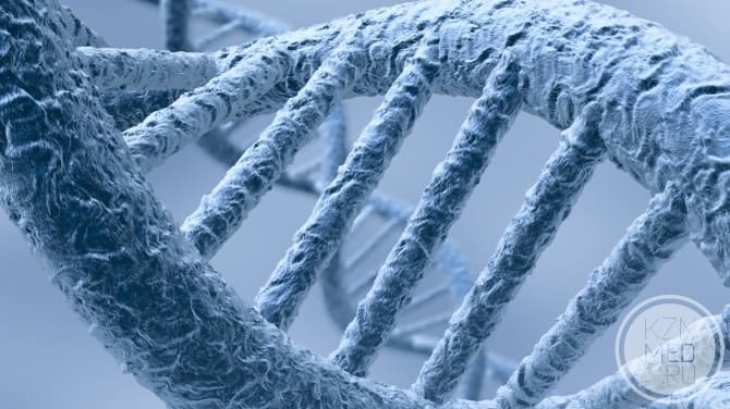 Что скрывает геном?