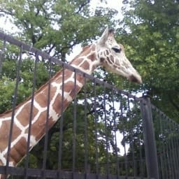 Калининградский зоопарк